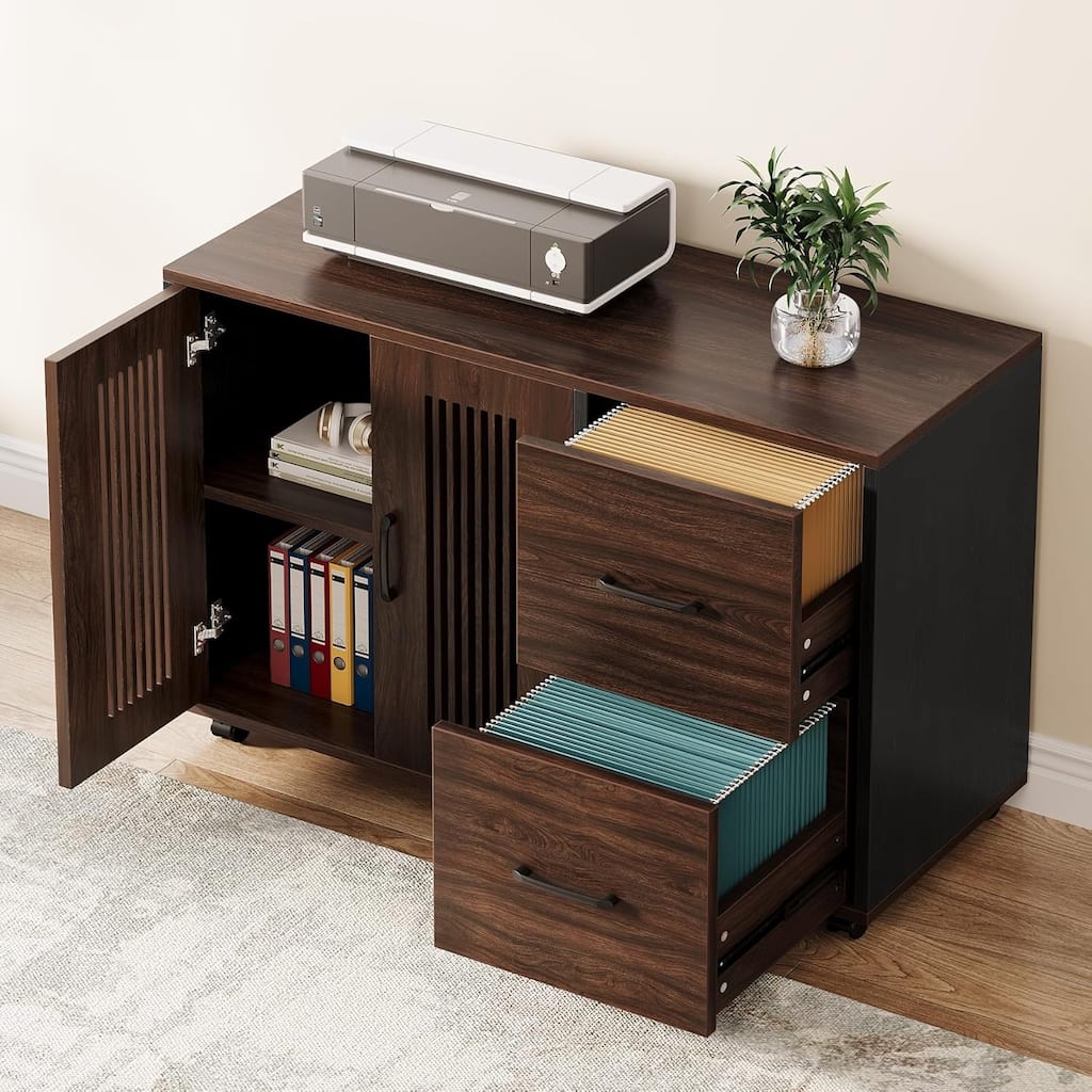 2-Drawer Mobile File Cabinet for Home Office, Lateral Filing Cabinet with Door Storage Cabinet and Wheel Casters