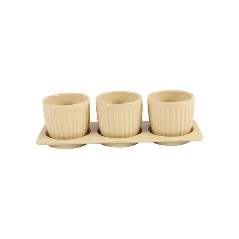 Gerbera Ceramic Planter Set with Disk - Cream