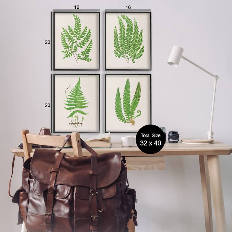 Stupell Subtle Green Fern Branches Framed Giclee Art Design By Phillipa Katz (Set of 4)