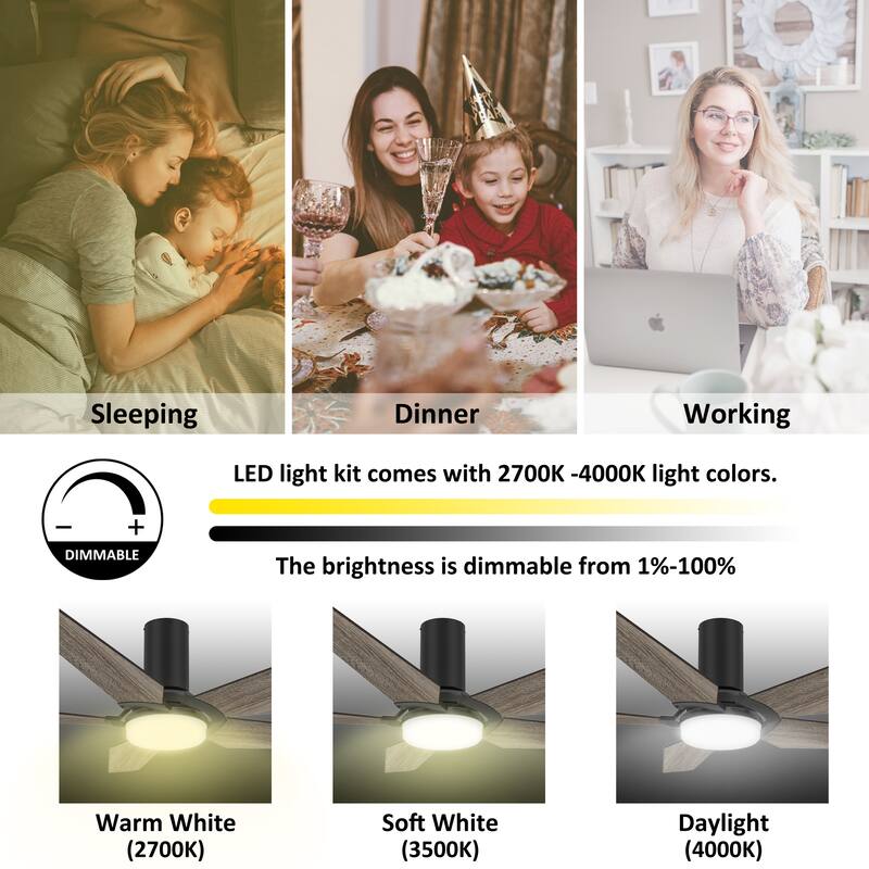 CARRO Boreas 52" 5-Blade Smart Ceiling Fan with LED Light and Remote-Flush Mount