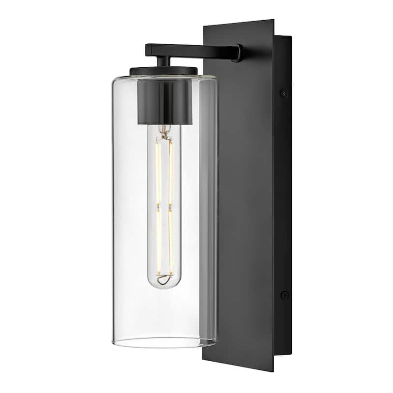 Lark 83370 Lane 13" Tall Hardwired or Plug-In Wall Sconce with Clear - Black