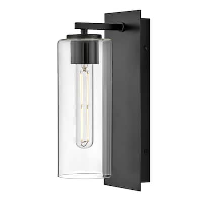 Lark 83370 Lane 13" Tall Hardwired or Plug-In Wall Sconce with Clear