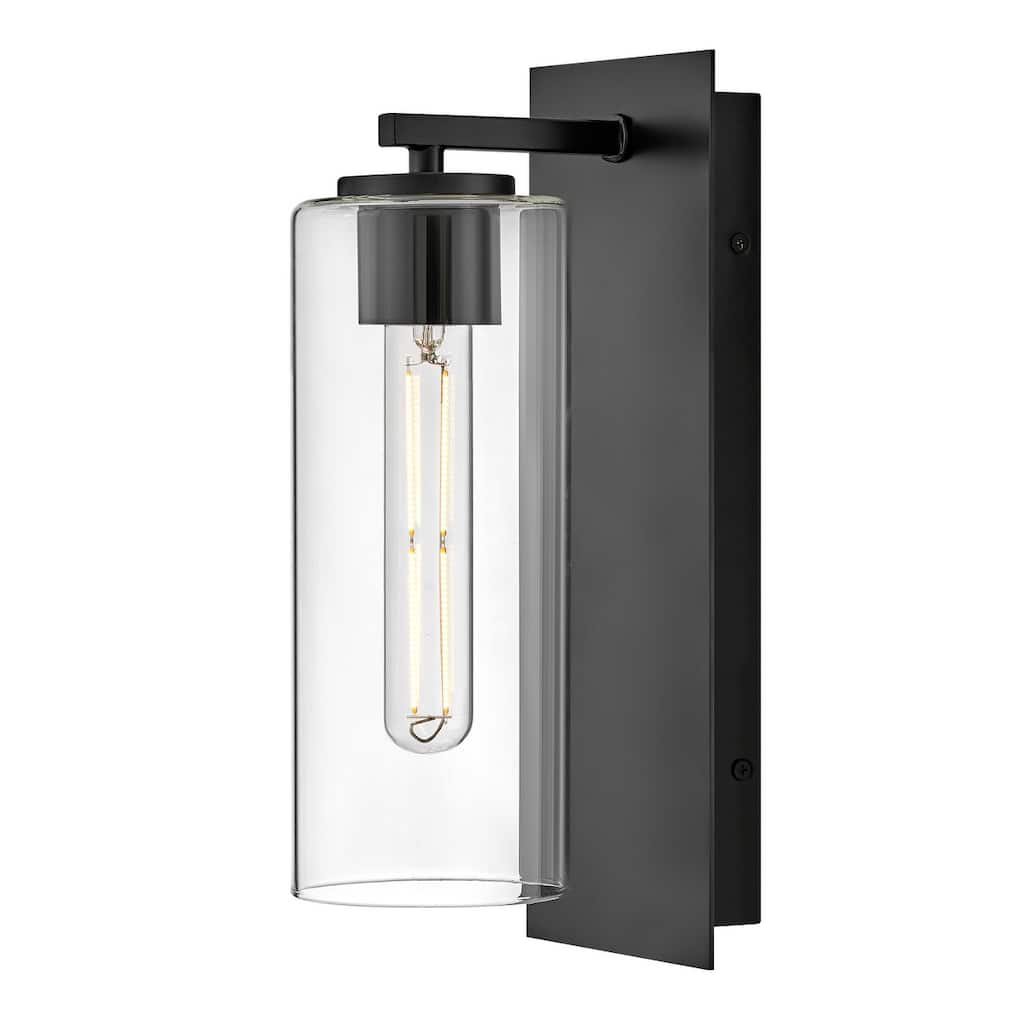 Lark 83370 Lane 13" Tall Hardwired or Plug-In Wall Sconce with Clear
