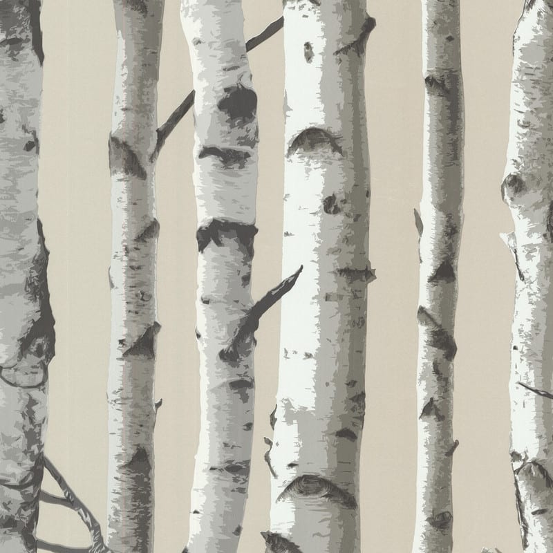 Brewster Irvin Grey Birch Tree Wallpaper - 20.5in x 396in x 0.025in