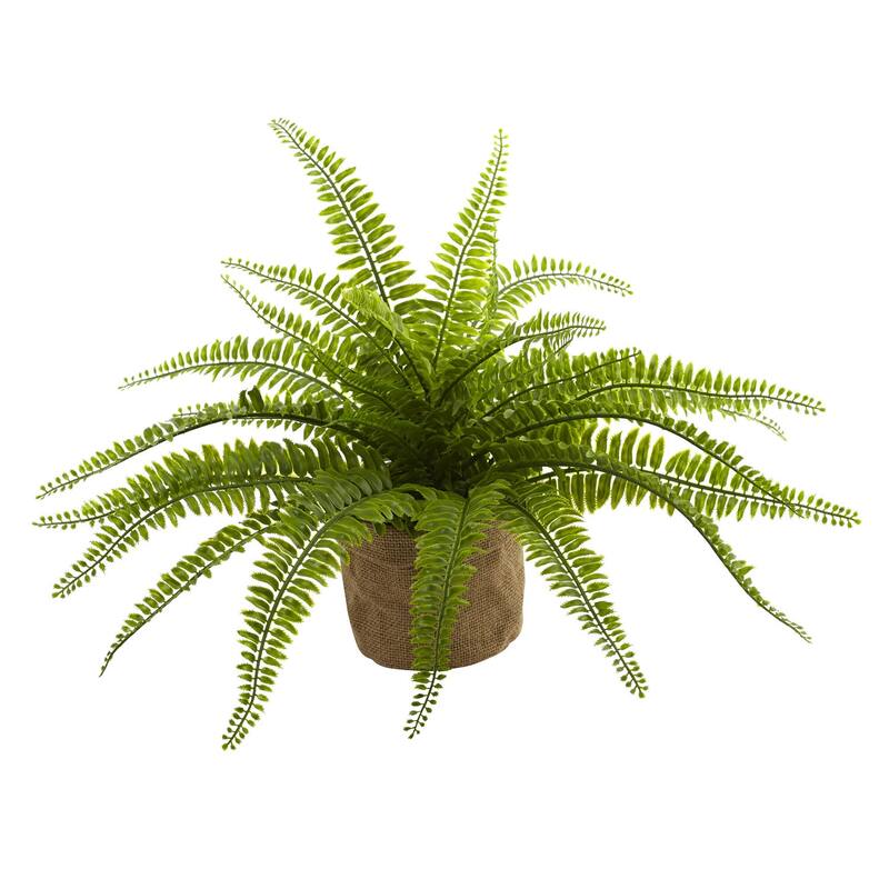 Artificial Ferns with Planters Set of 2, Greenery Home Decor, Office Plants, 22" Tall, Indoor Plants - 1.25ft.
