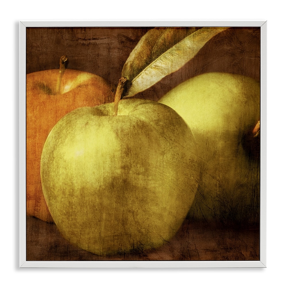 Stupell Vintage Apples Close Up Framed Giclee Art Design By Caroline Kelly