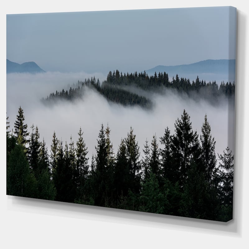 Dark Trees and Fog Over Mountains - Landscape Art Print Canvas
