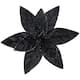 Option Black