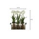 preview thumbnail 3 of 3, HomeStock Paper Whites in Glass Jars in Metal Holder - Vintage Faux Floral Set for Charming Décor - 14