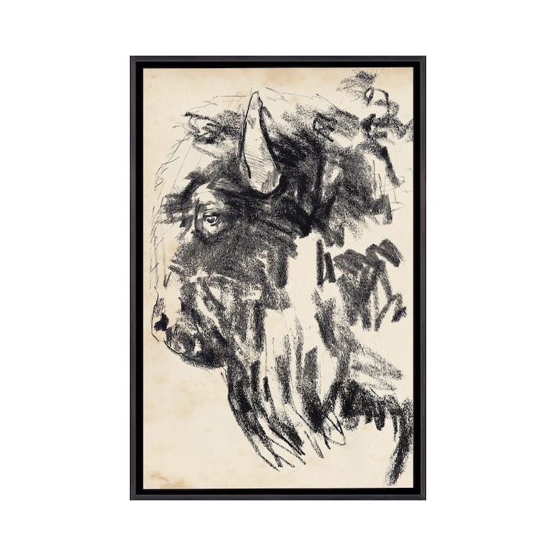 iCanvas "Bison Head Gesture II" by Jennifer Paxton Parker Framed - Ebony - 26x18