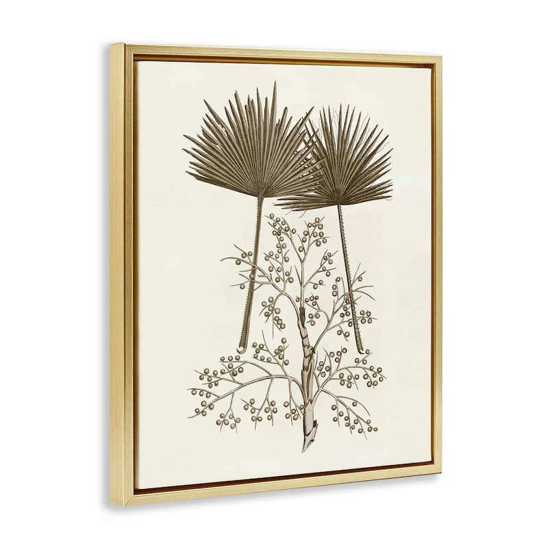 Stupell Palm Leaf & Olive Branches Framed Floater Canvas Wall Art Design By Phillipa Katz