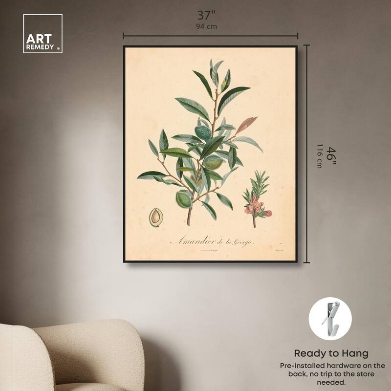 Almond of Georgia I Canvas by Art Remedy