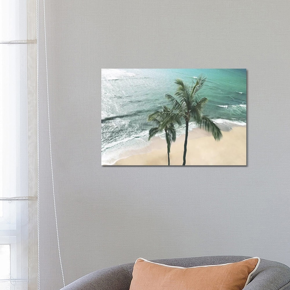 iCanvas "Maui Palm" by Natalie Carpentieri Canvas Print