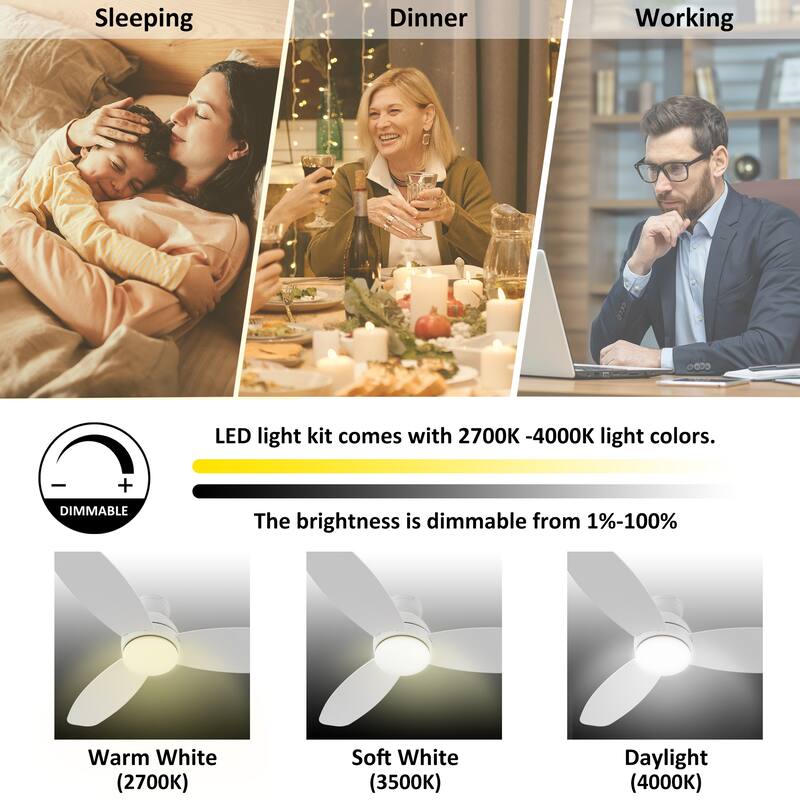 CARRO Quest 48" Smart Ceiling Fan with Light and Remote Control