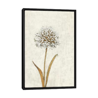 iCanvas "Shimmering Summer I Ivory" by James Wiens Framed Canvas Print