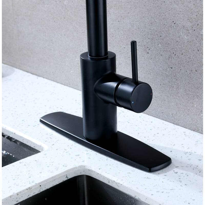 Ultra Faucets Euro Collection Single-Handle Kitchen Faucet With Pull-Down Spray