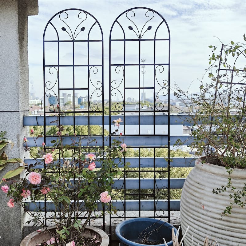 2 Pack Metal Garden Trellis Rustproof Trellis for Climbing Plants Outdoor Flower Support Black