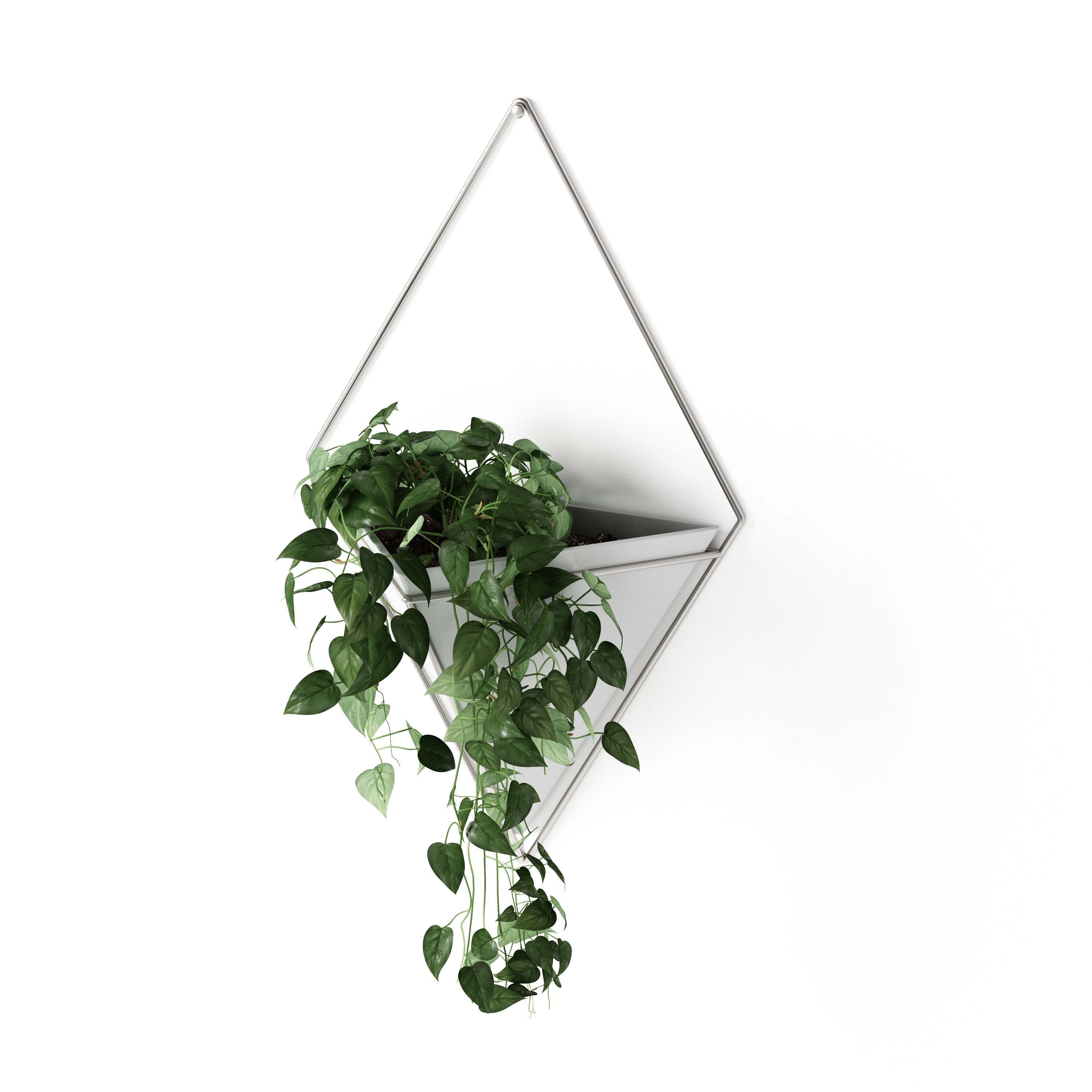 Umbra Trigg Hanging Planter Vase Geometric Wall Decor Container Great for of for sale online 