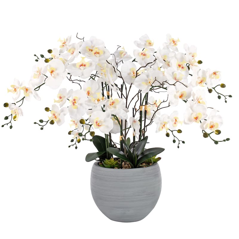 9 Stems Nearly Natural White Phalaenopsis Orchids with Succulents in White Magnesium Oxide Pot - 36.22" H x 35.43" W x 35.43" D
