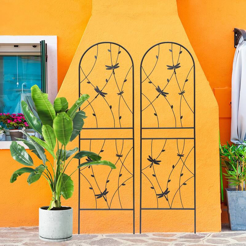 Metal Garden Trellis