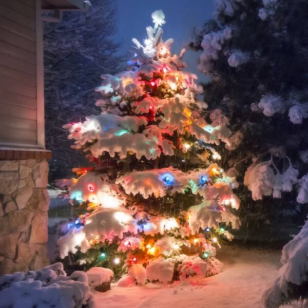 Shop Liteup 225 Solar Led String Lights 2 Pack White Or Multicolor 2 Pack On Sale Overstock 26855414