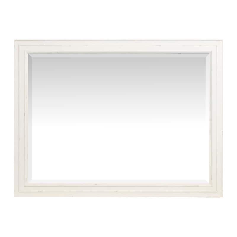 Salt Life Home Echo Isles Sea Pearl and Driftwood Double Drawer Dresser with Landscape Mirror