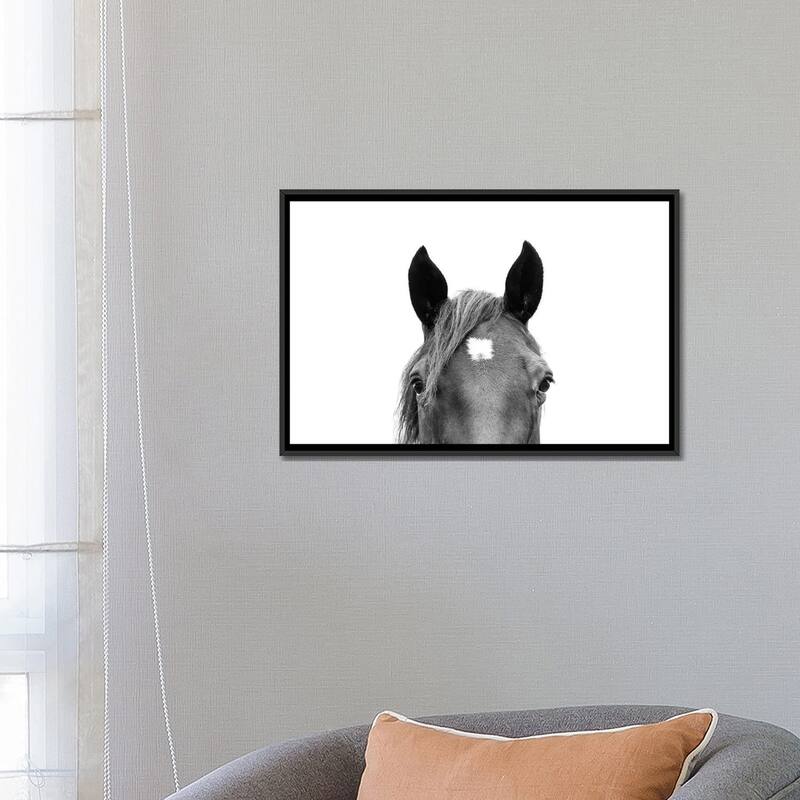 iCanvas "Peeking Horse In Black & White" by Sisi & Seb Framed Canvas Print