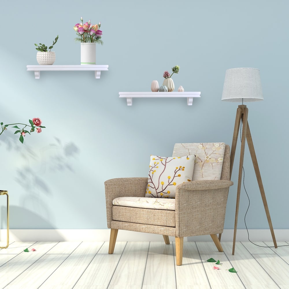 Danya B. 24" Floating Display Ledge Wall Shelves - Set of 2