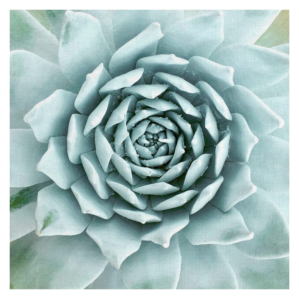 Desert Splendor by Belle Maison Canvas Art Print