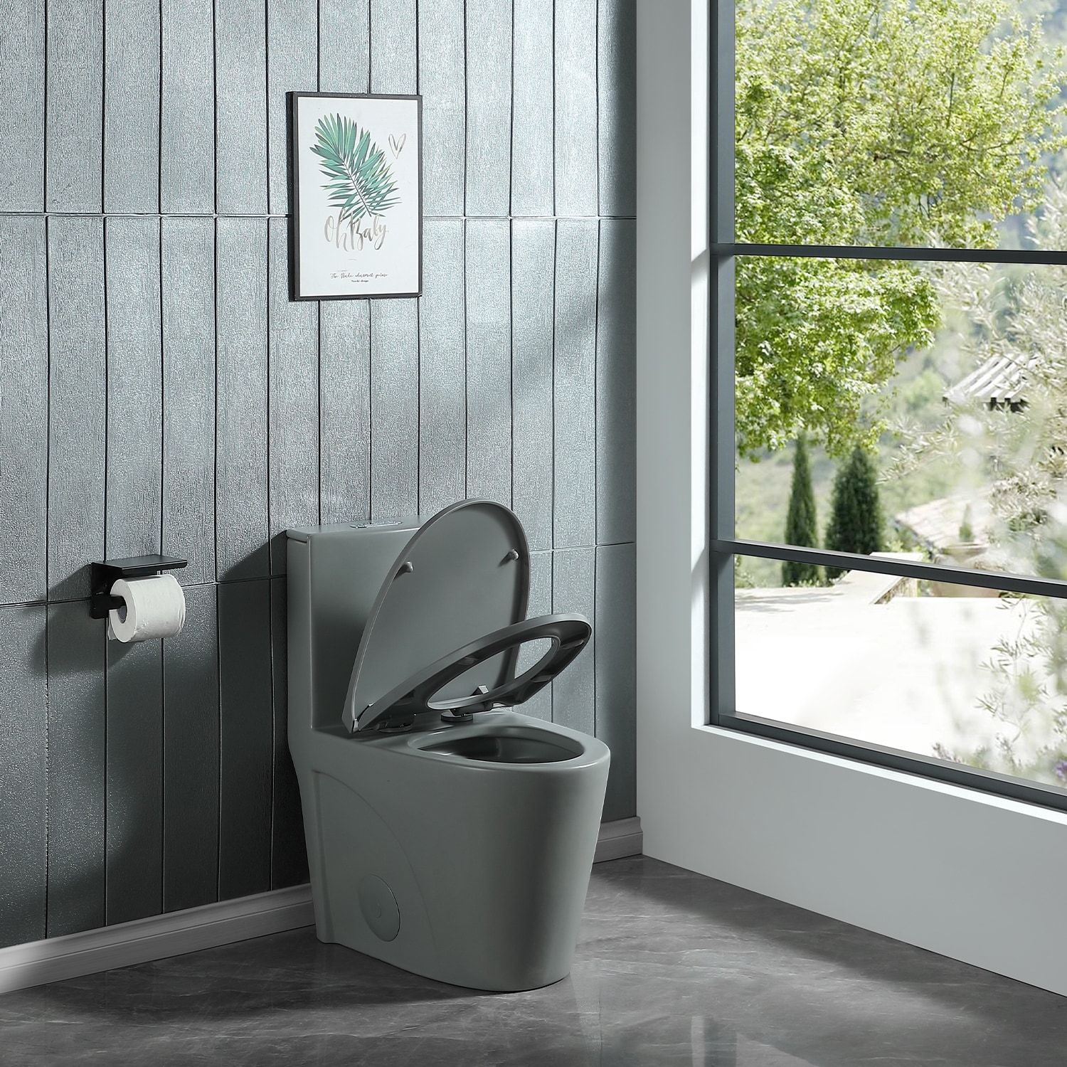 https://ak1.ostkcdn.com/images/products/is/images/direct/8bdb8fb5539be73c35680bd3ef80c2683097dff2/Light-Grey-Dual-Flush-1-Piece-Elongated-Toilet-with-Soft-Close-Seat.jpg