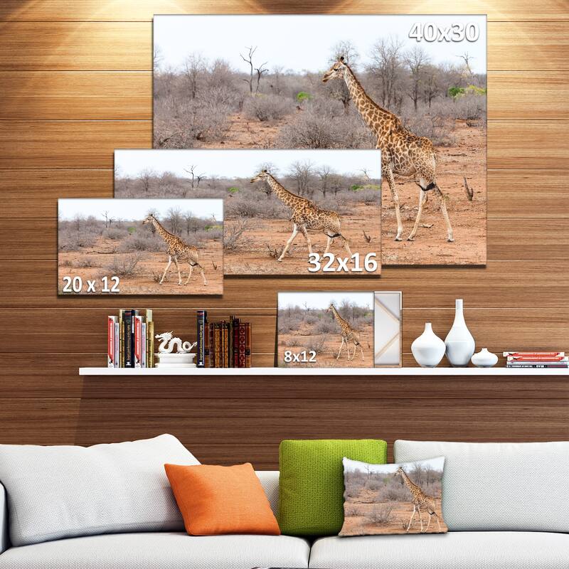 Designart "Giraffe Walking through African Forest" Modern Animal Canvas Wall Artwork Print