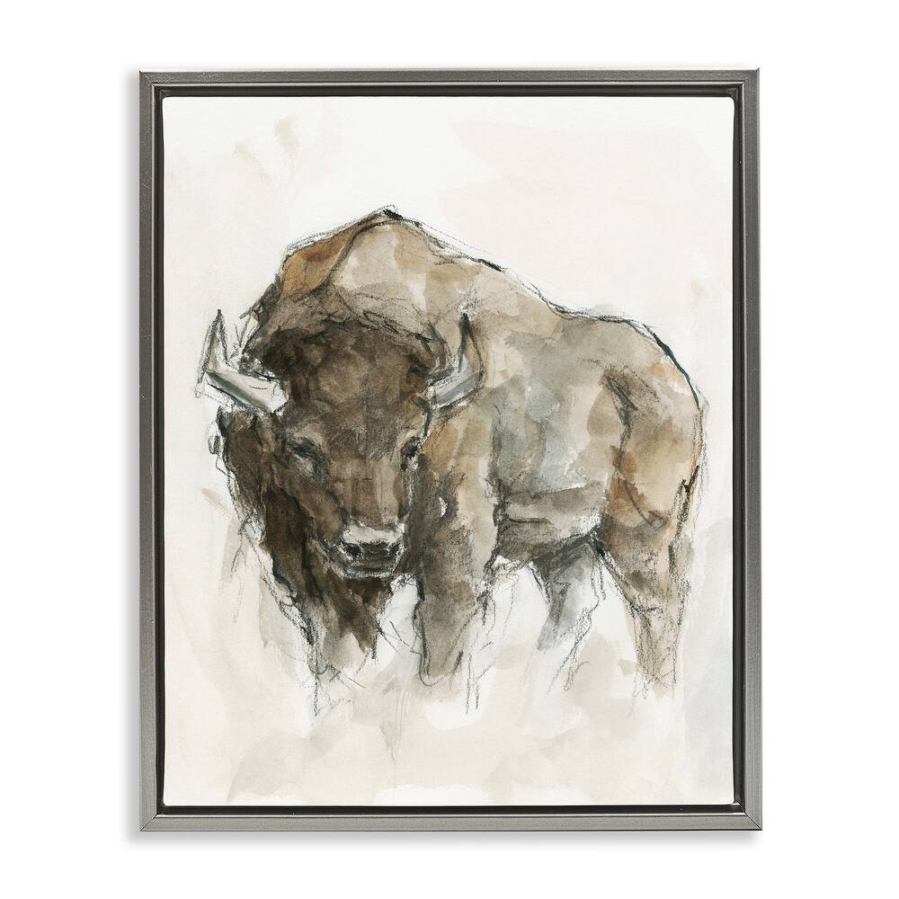 Stupell Western American Buffalo Brown Country Animal Floater Frame