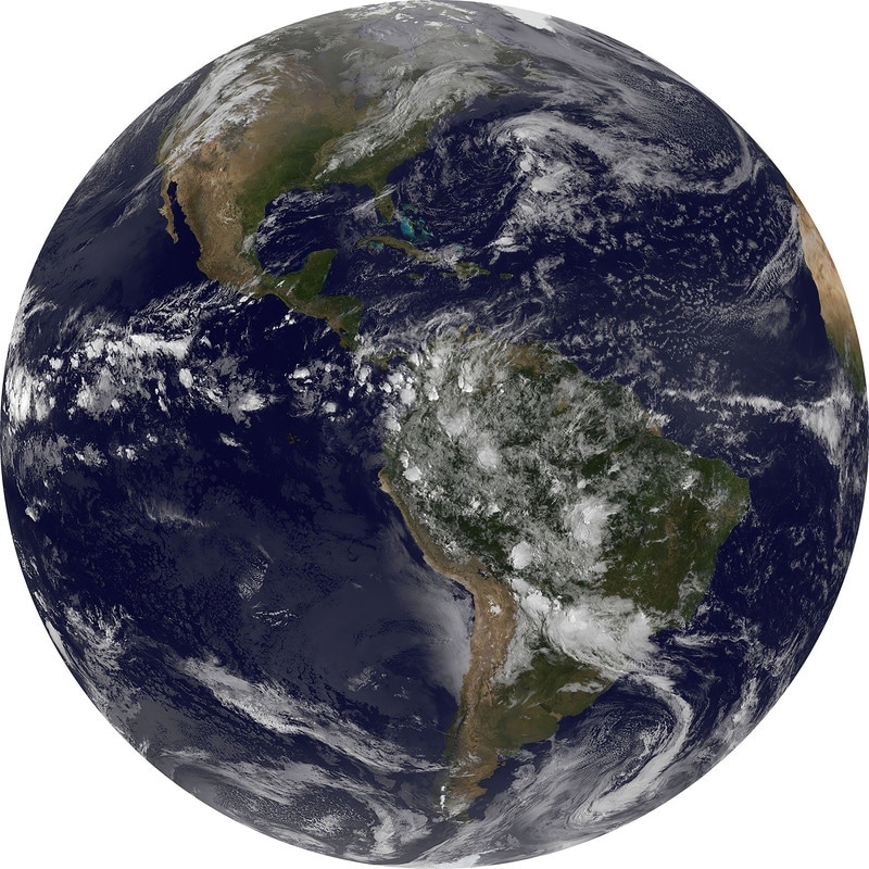 Komar Earth Non Woven Dot Decal