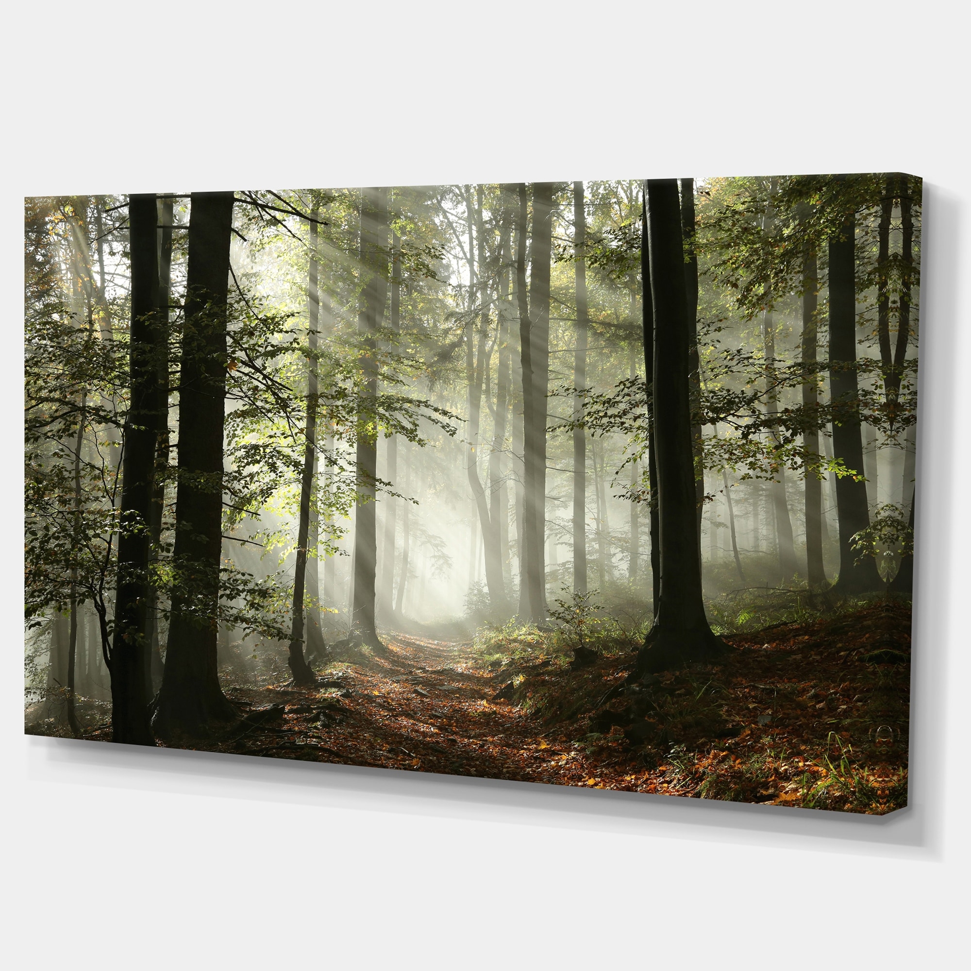 Designart Light In Dense Fall Forest With Fog Landscape Canvas Art Print On Sale Overstock 12101979
