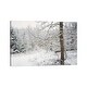preview thumbnail 1 of 4, iCanvas "Winter Wood" by Lena Weisbek Canvas Print