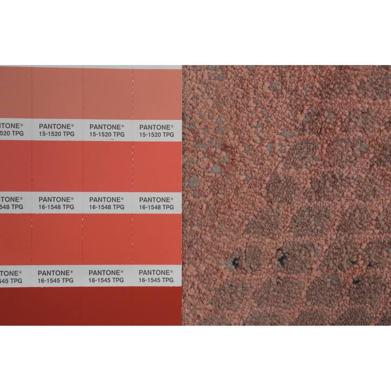 Machine Made Oriental Polyester Carpet Modern Geometric Coral Modern Area Rug - 7' 5'' X 5' 2''