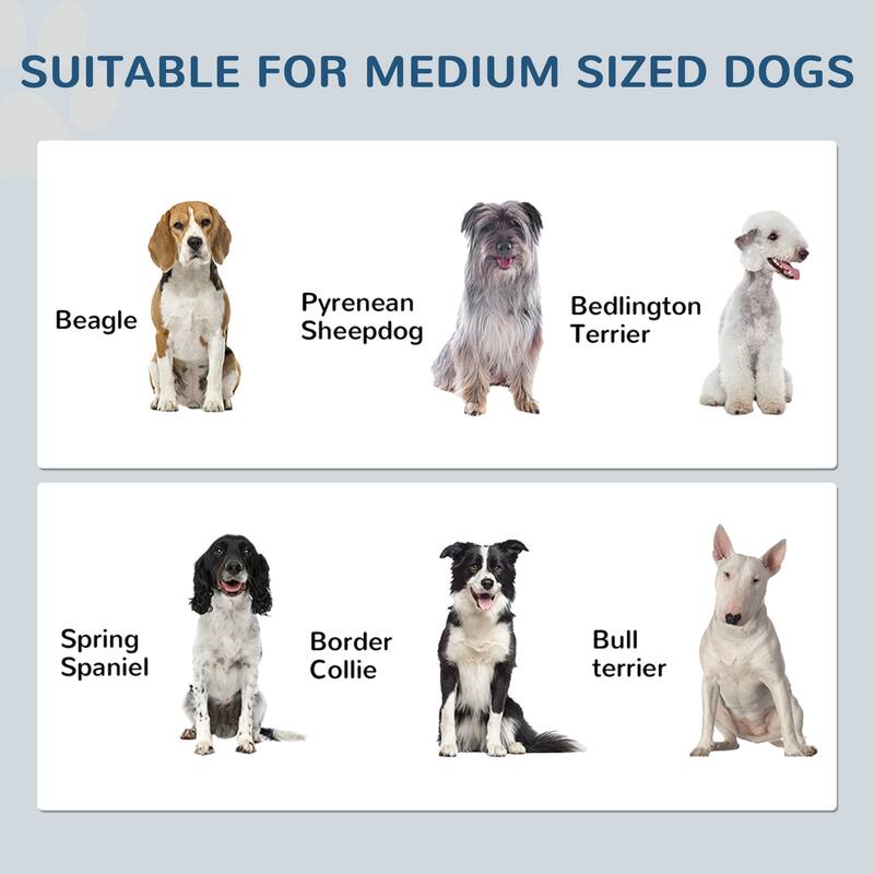 Dog Feeding Station, Dog Food Storage Cabinet with Hidden Dog Bowls, Adjustable Panel, Hooks for Medium Sized Dogs, White