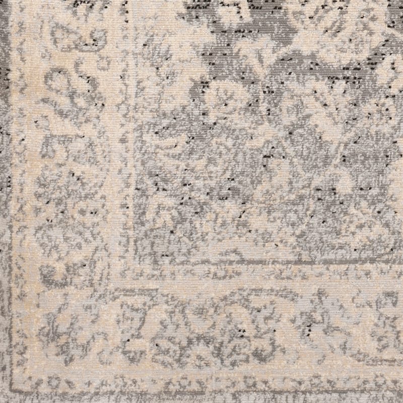 Amedeo Traditional Area Rug