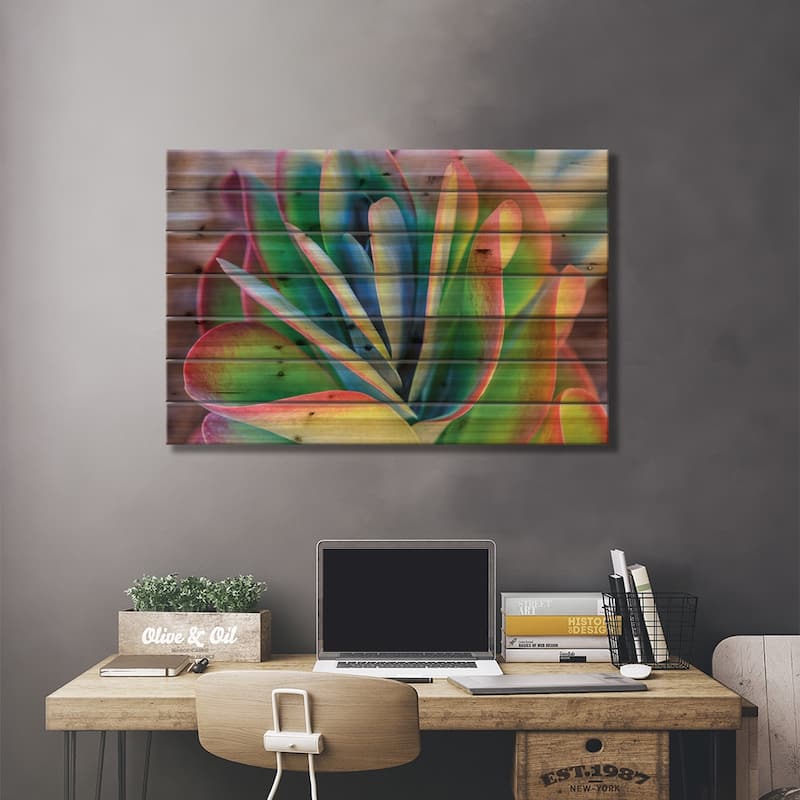 Close-up of succulent plants, San Diego, California, USA. Print On Wood by Stuart Westmorland - Multi-Color
