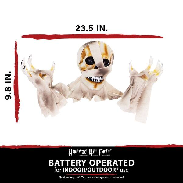 Haunted Hill Farm 53" Talking Ghost Skeleton Prop - Animated Eyes, Sound, Indoor/Outdoor Halloween