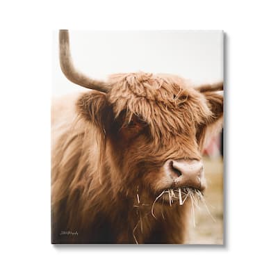 Stupell Cattle Chewing Photography Canvas Wall Art Design by Dakota Diener