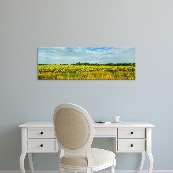 Easy Art Prints Panoramic Images's 'Sunflower field, Melvin, Livingston County, Illinois, USA' Premium Canvas Art