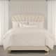 Option Ivory