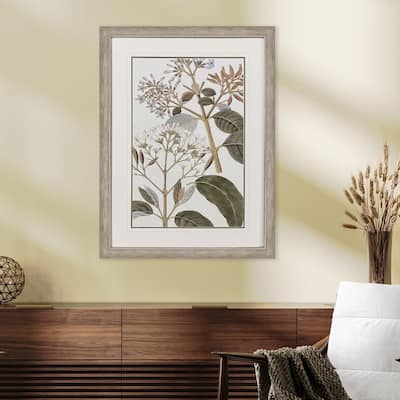 Paragon Flowering Botanical II Framed Art
