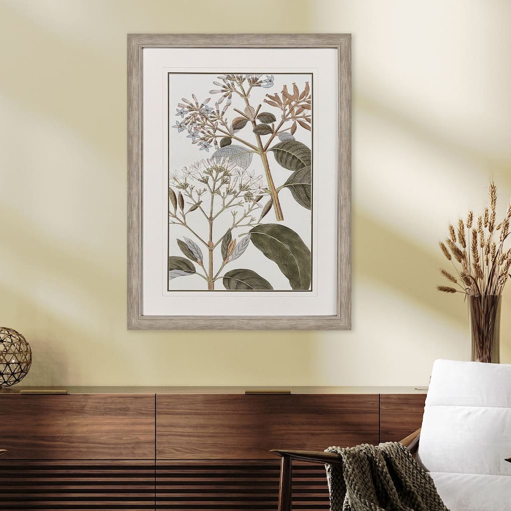 Paragon Flowering Botanical II Framed Art