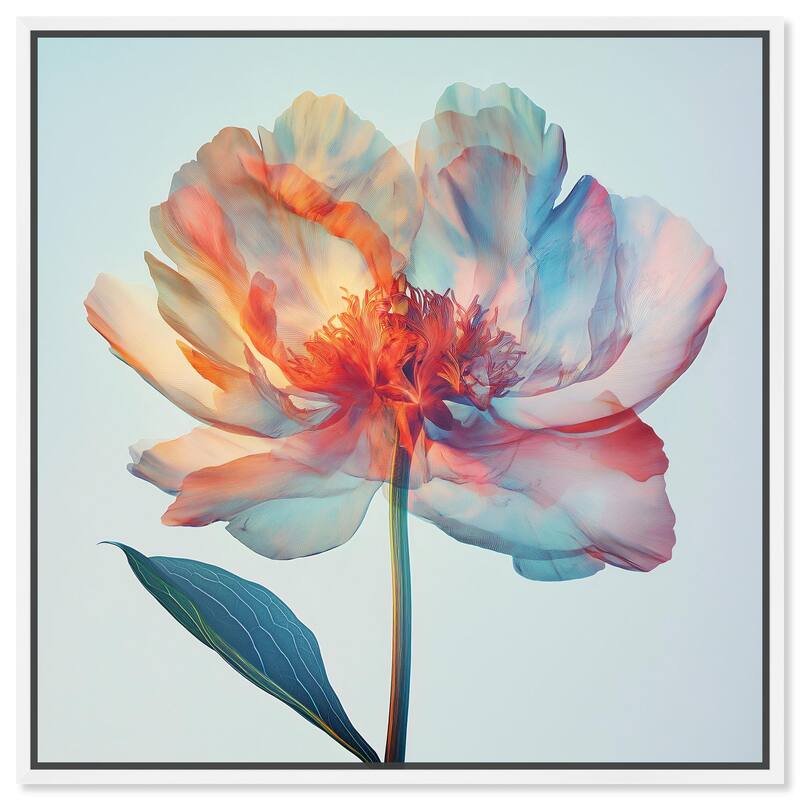 Peony Phases Canvas by Art Remedy - White - 16" x 16"