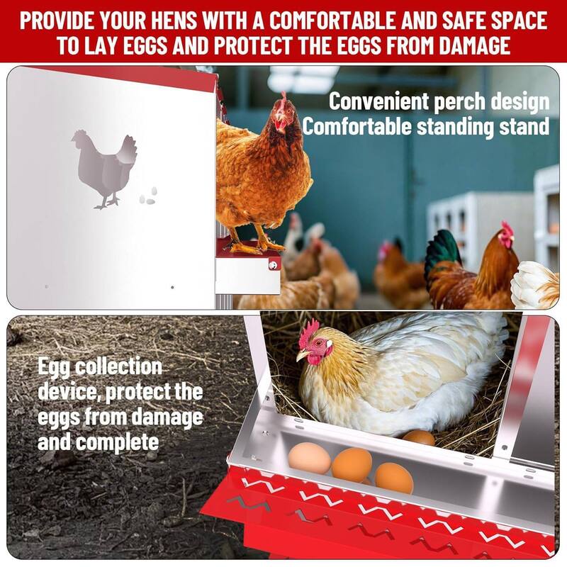 Chicken Nesting Boxes with Roll Out Egg Collection