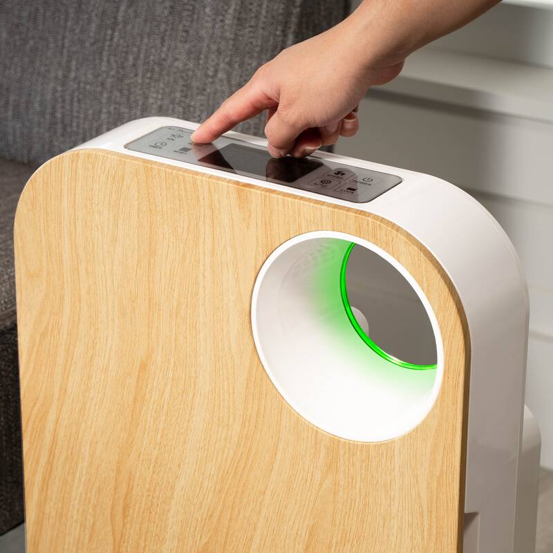 OVAL AIR 3-Stage H13 True HEPA 5-in-1 Air Purifier for Rooms up to 600 sq. ft. reduces Allergies, Asthma, Pets, Odor, Smoke