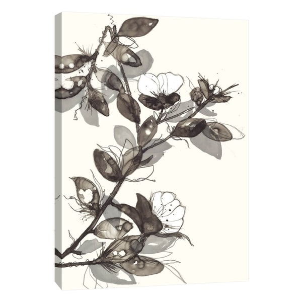 PTM Images 9-108530 PTM Canvas Collection 10" x 8" - "Transparent Flora 1" Giclee Flowers Art Print on Canvas