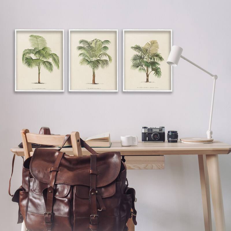Stupell Les Palmiers Botanical Trio Framed Giclee Art Design by World Art Group (Set of 3)
